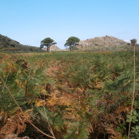 The top of the volcano in Alicudi, Aeolian islands