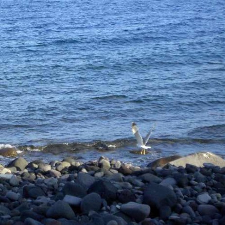 The rocky beach in Alicudi