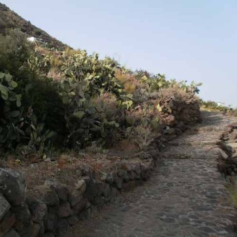 In Alicudi there are no roads but only pedestrian romantic paths